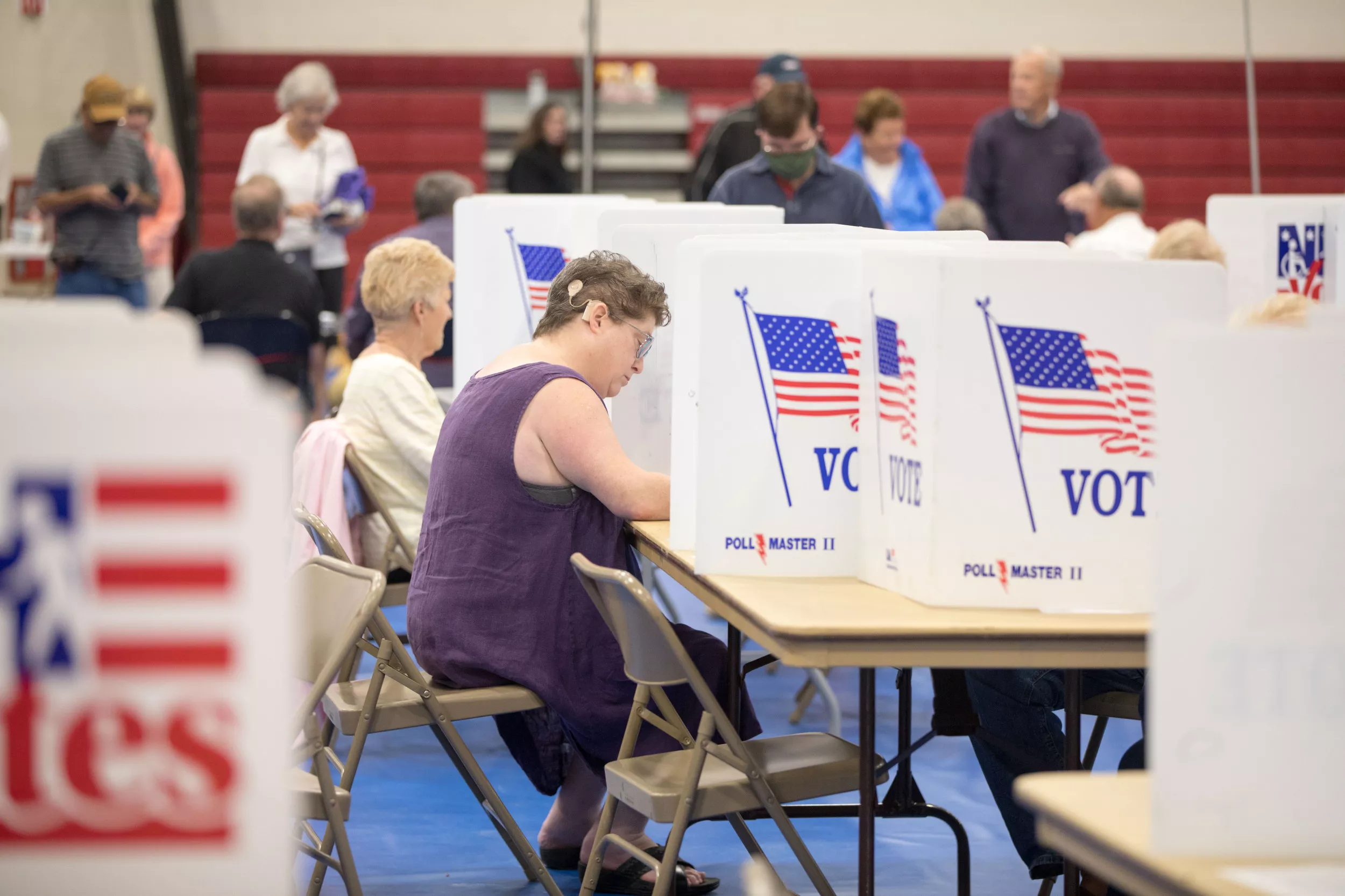What Final Primary Election Results Tell us About the Midterms - Vimarsana News