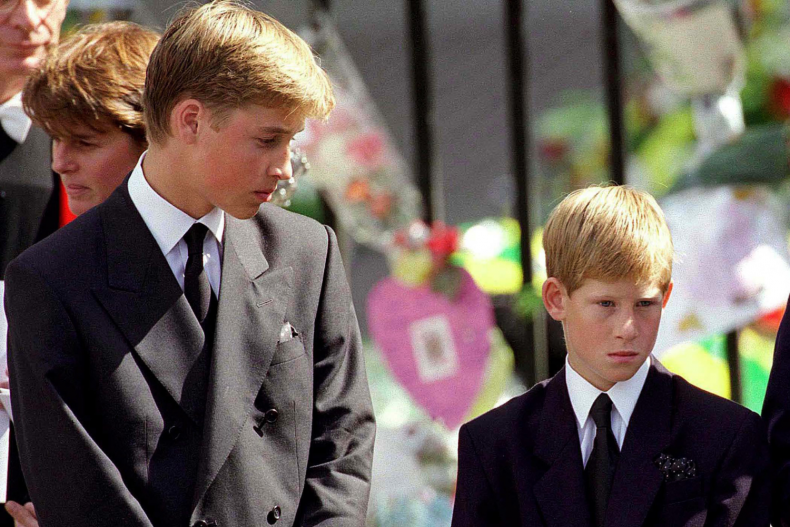 Prince William and Prince Harry Diana Funeral