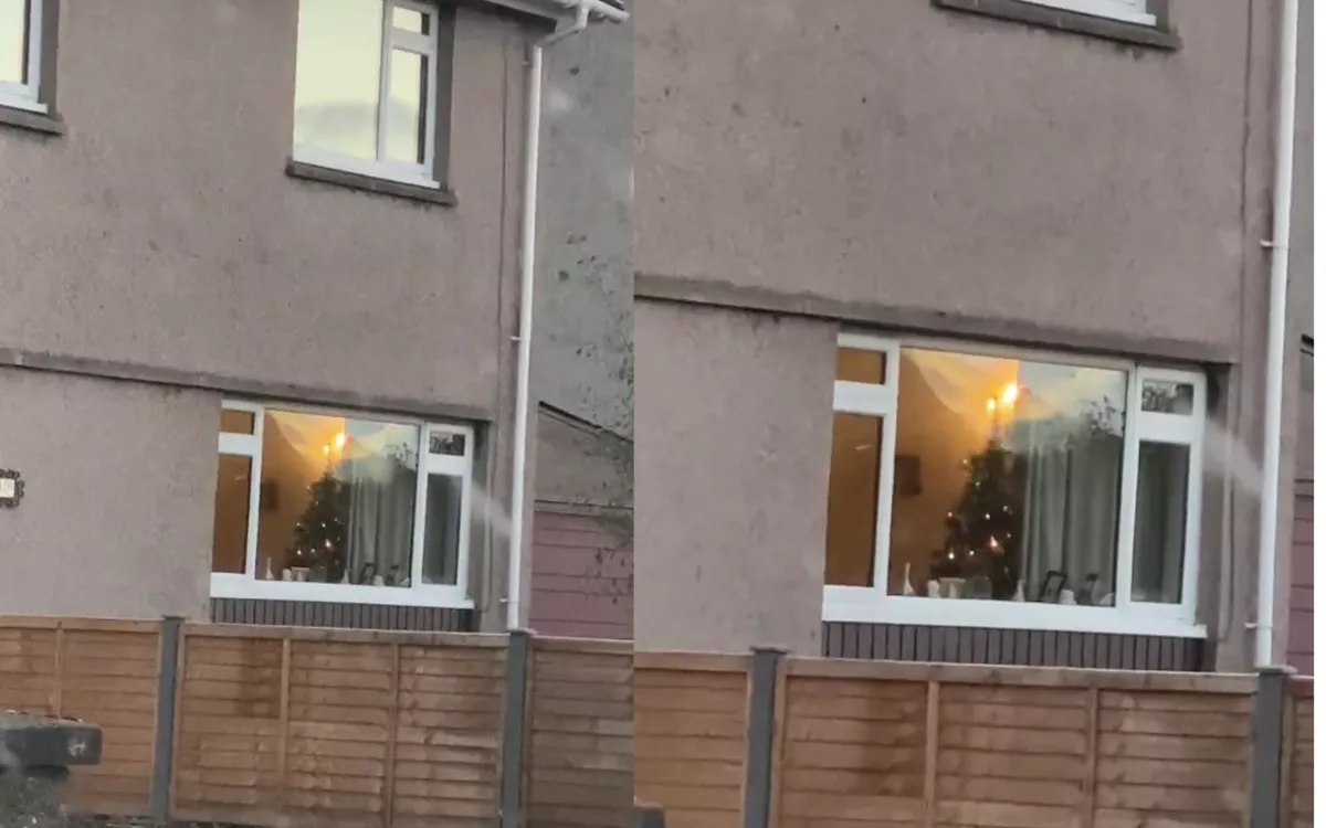 Christmas Tree Spotted Inside House in September Shocks Driver - Vimarsana News