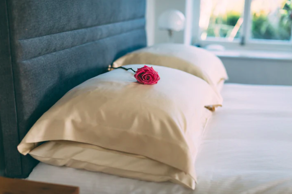 best sustainable bedding ethical silk co.