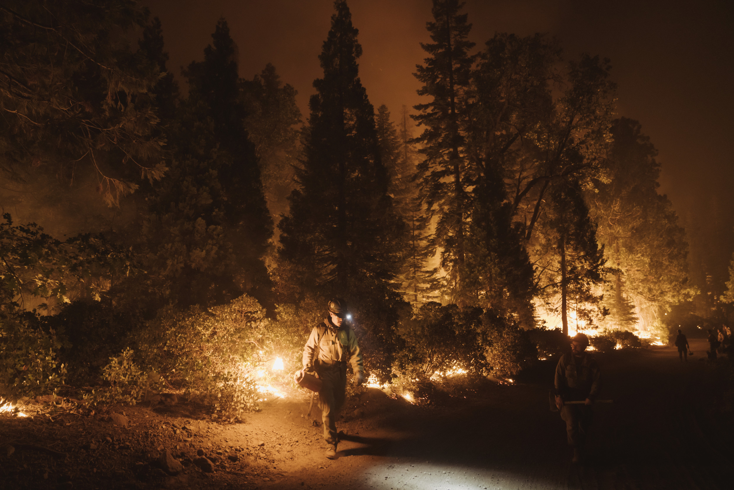 California Wildfire Update: Mosquito Fire Grows Nearly 20k Acres in 3 Days - Vimarsana News