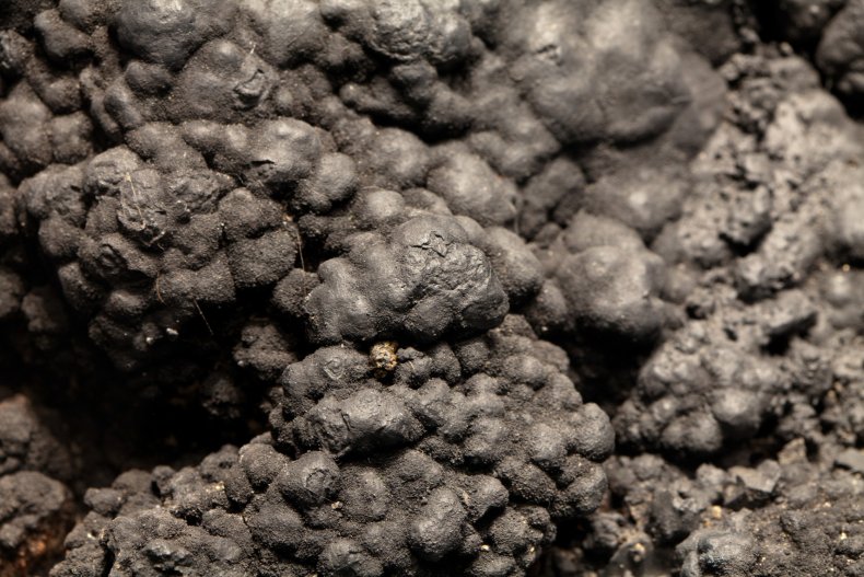 nodules deep sea