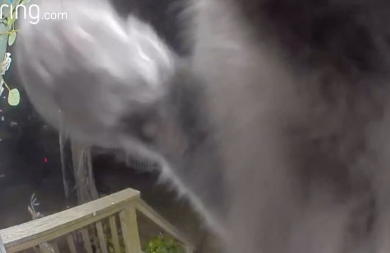 Still from Ring footage