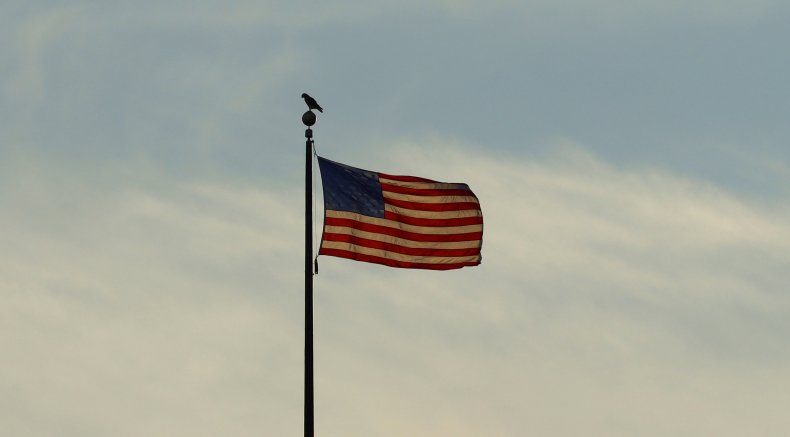 A bird stands on a flag pole