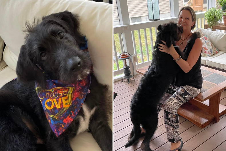 Nicky the dog and owner Ruth