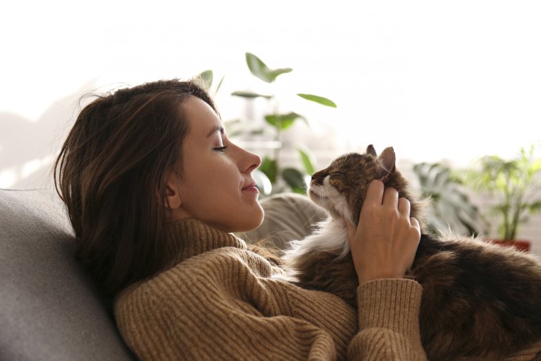 cat snuggling with owner