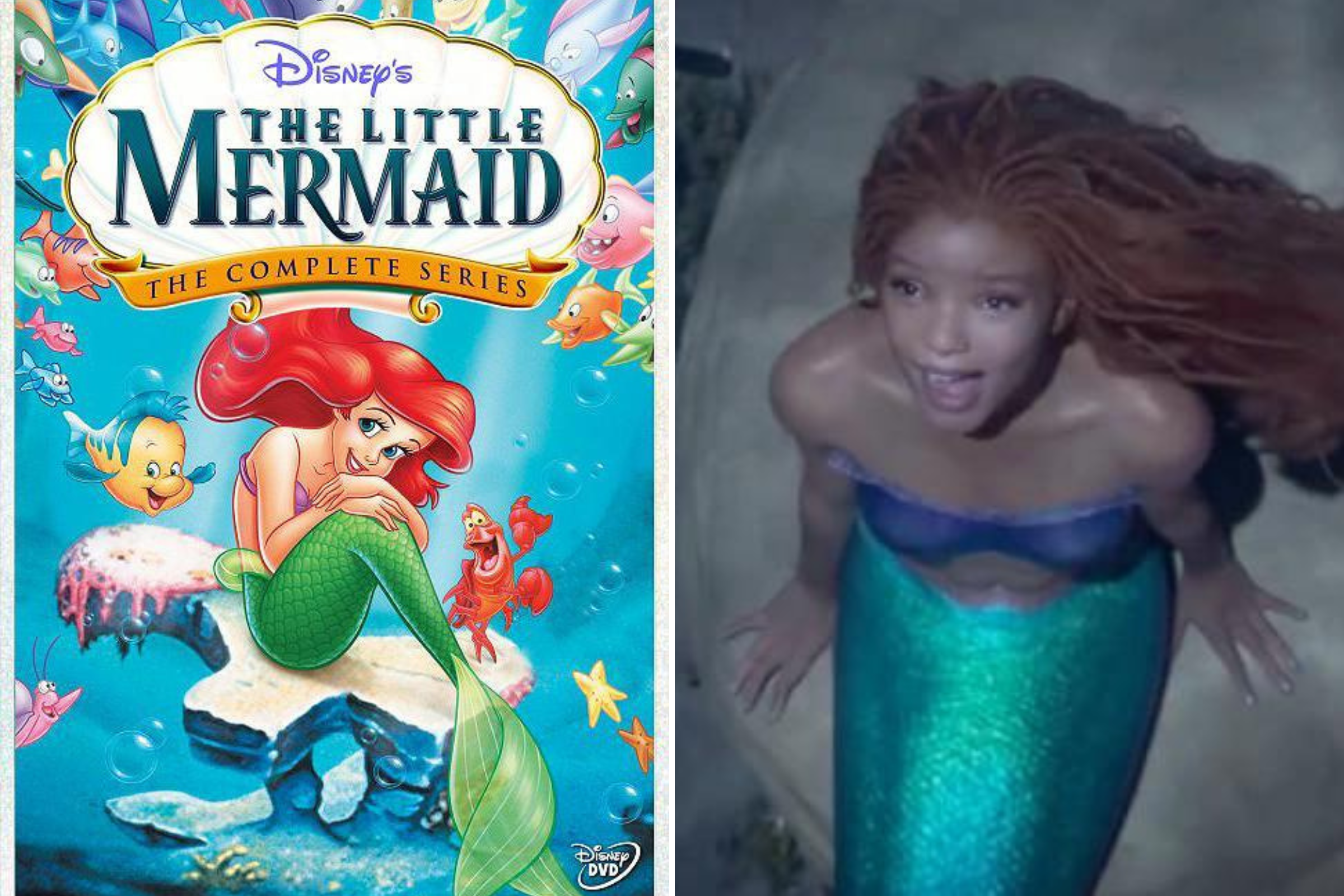 Fans Point Out Halle Bailey Is Not Disney's First Black Mermaid