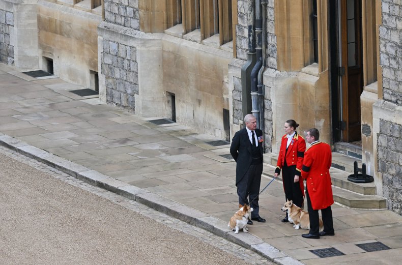 Queen Elizabeth II's corgis