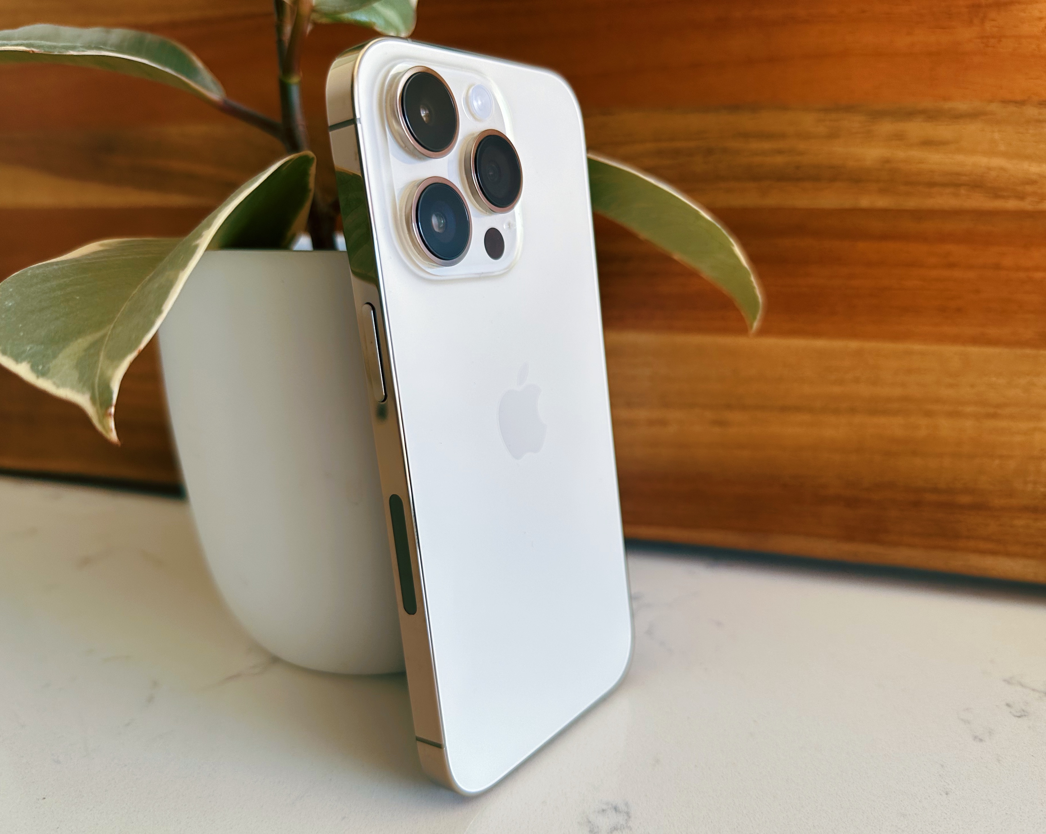 iPhone 14 Pro Review: Everyone Is a Professional
