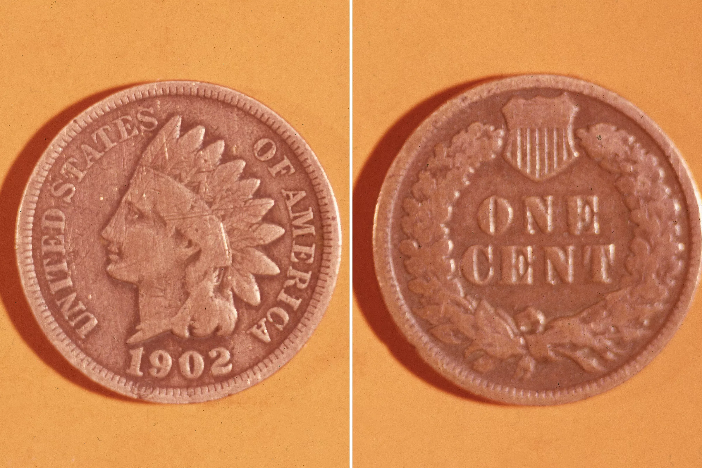 Disbelief Over 114-Year-Old 'Indian Head' Cent Found in Stack of Coins - Vimarsana News
