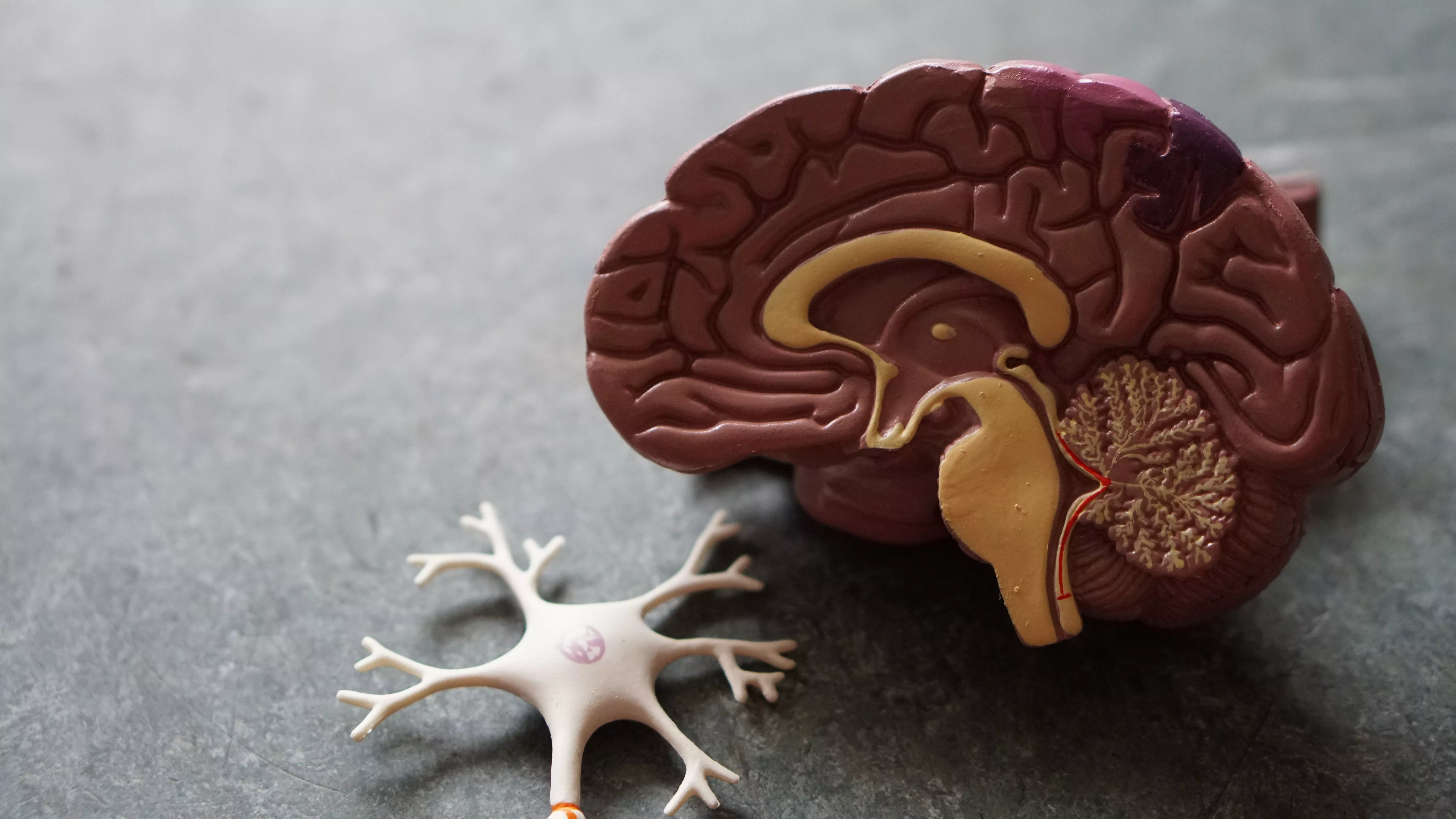 Deep Brain Stimulation Effective in Treating OCD: Study - Vimarsana News