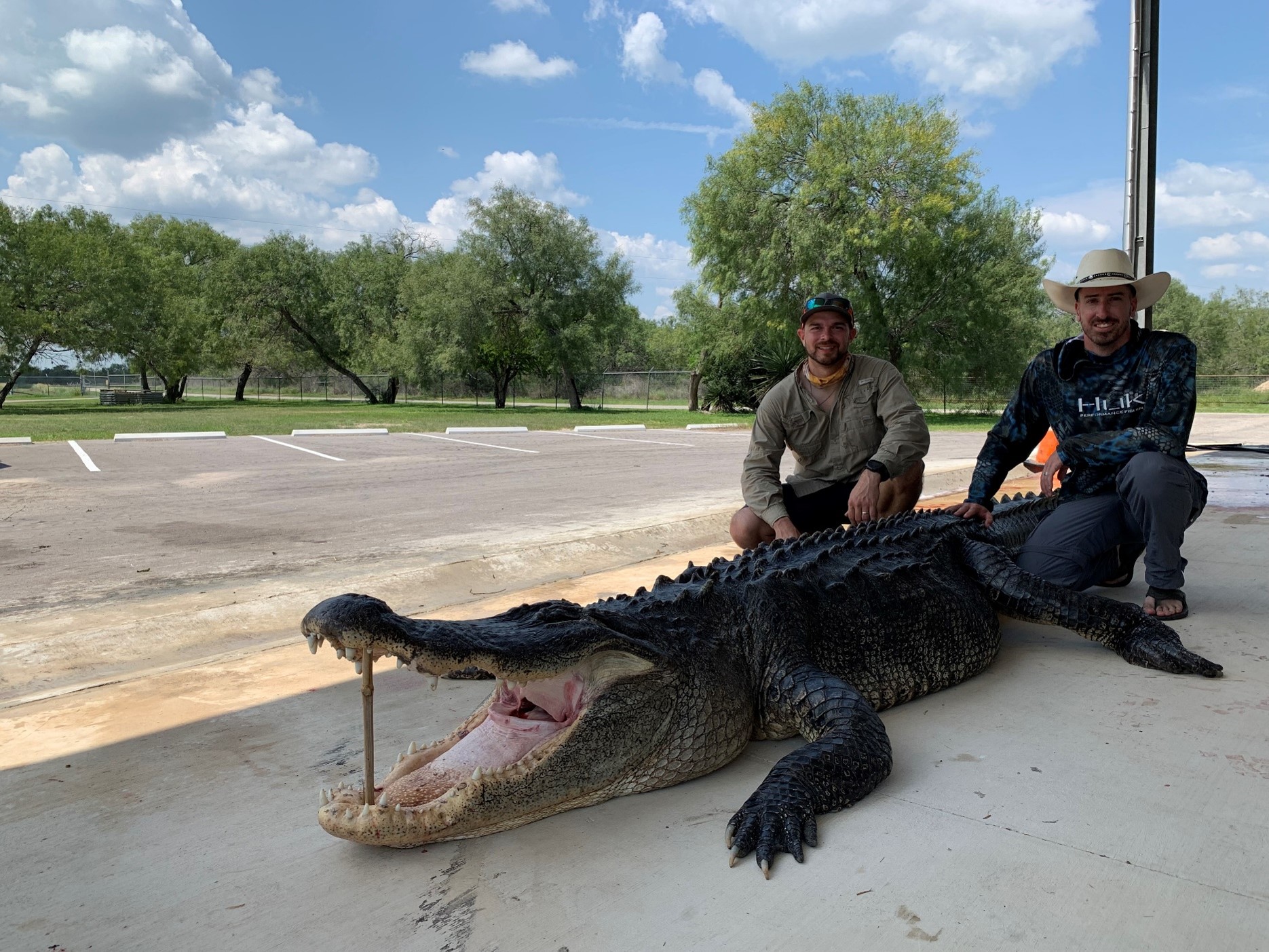 Giant 'Once in a Lifetime' 14-Foot Alligator Caught by Texas