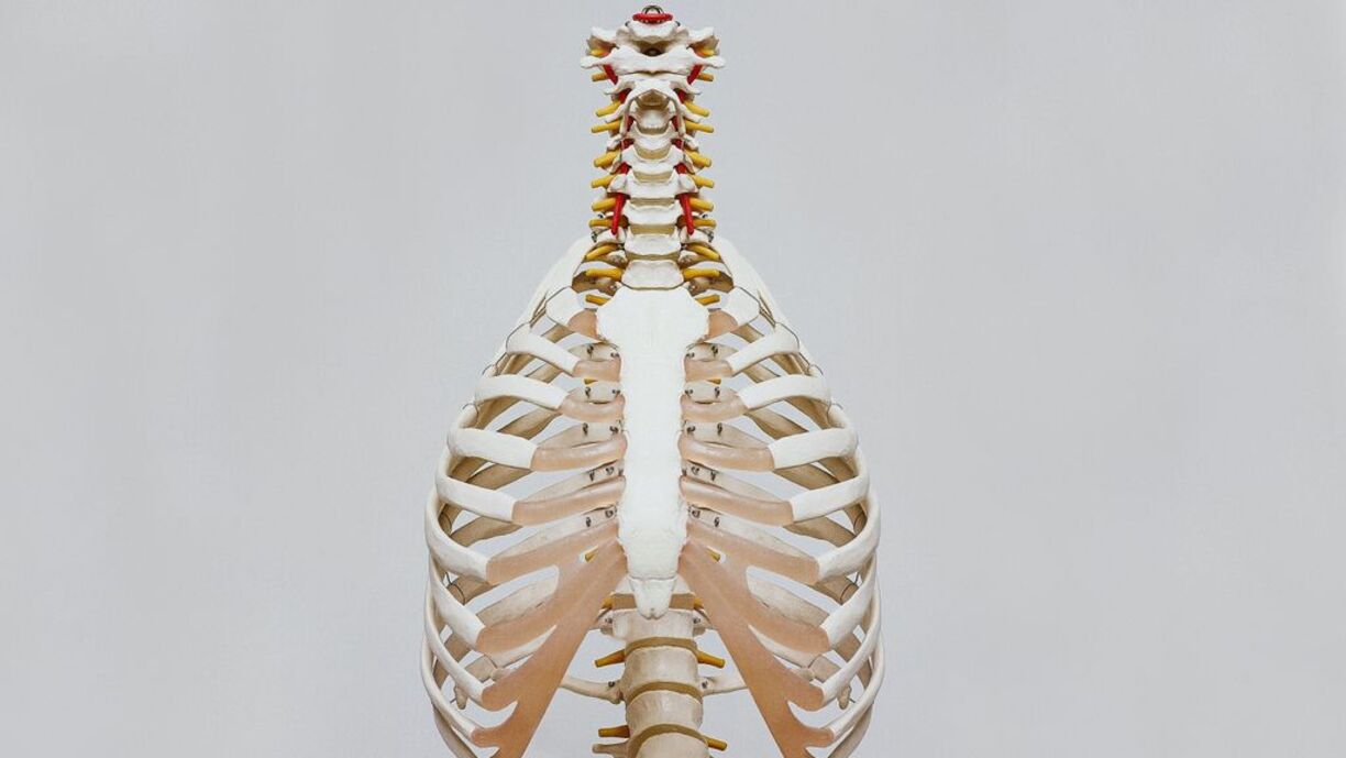 New Injection Could Help Heal Spinal Cord Injuries: Study