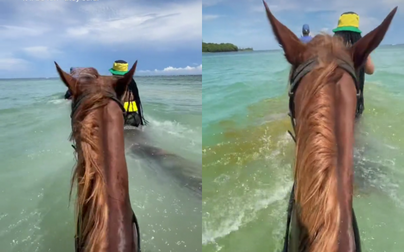 Michelle Burnett's footage from Jamaica