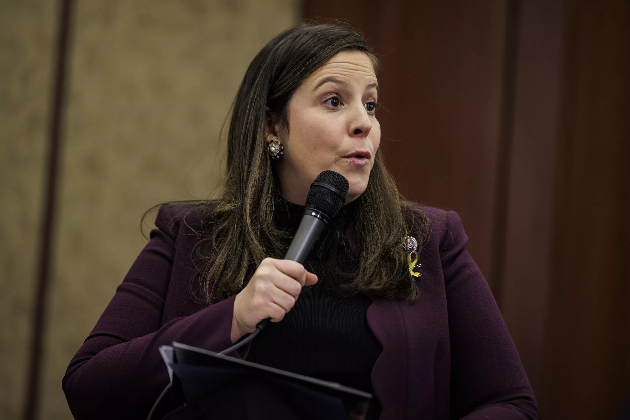Fox News Host Confronts Stefanik on Migrant Buses: 'These Are Real People' - Vimarsana News