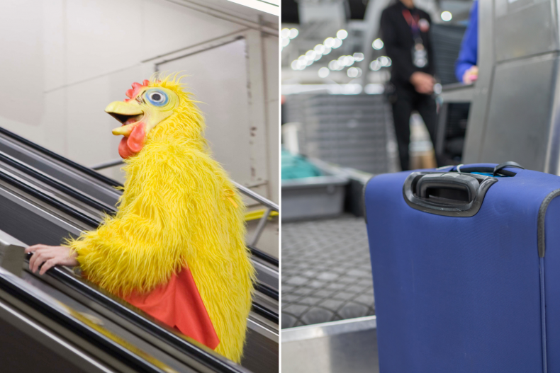 Chicken costume and luggage