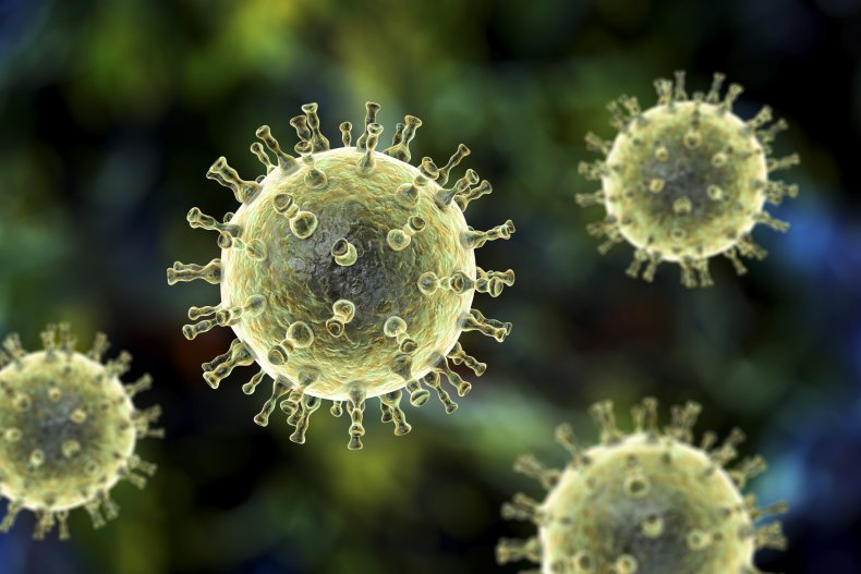 virus de la varicela