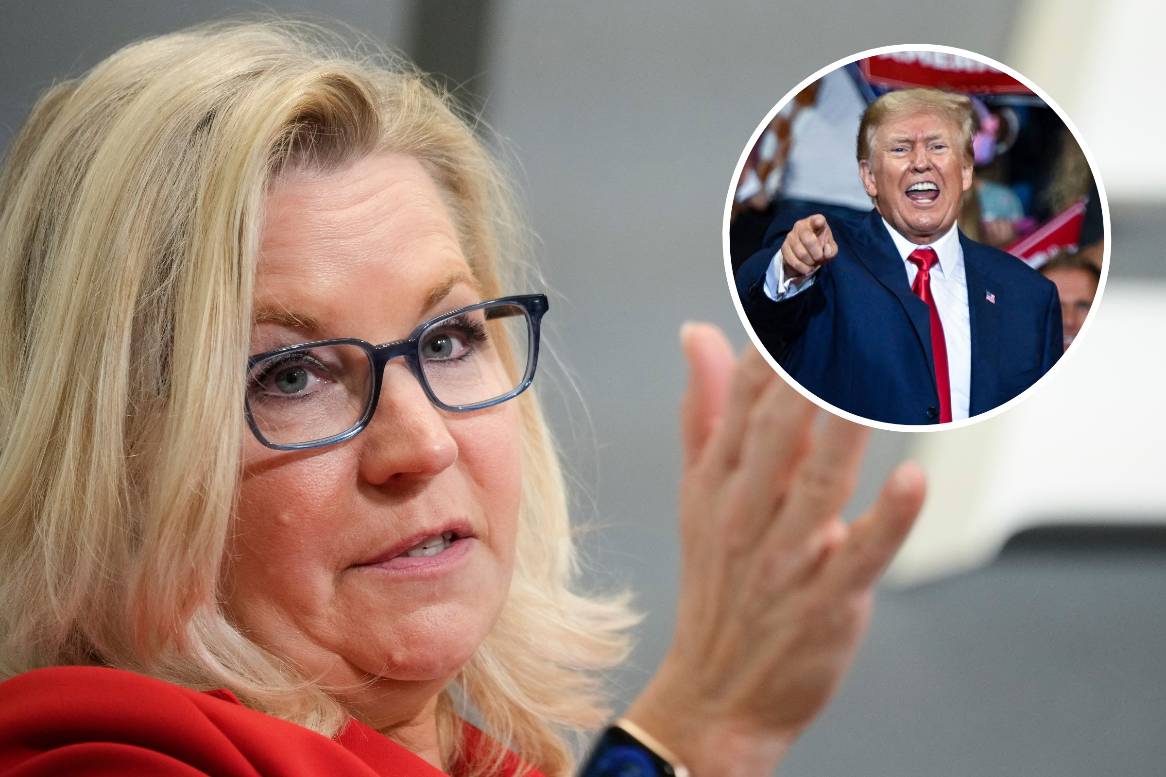 Fact Check: Did Liz Cheney Call Donald Trump A 'Cute Russian B***h'?