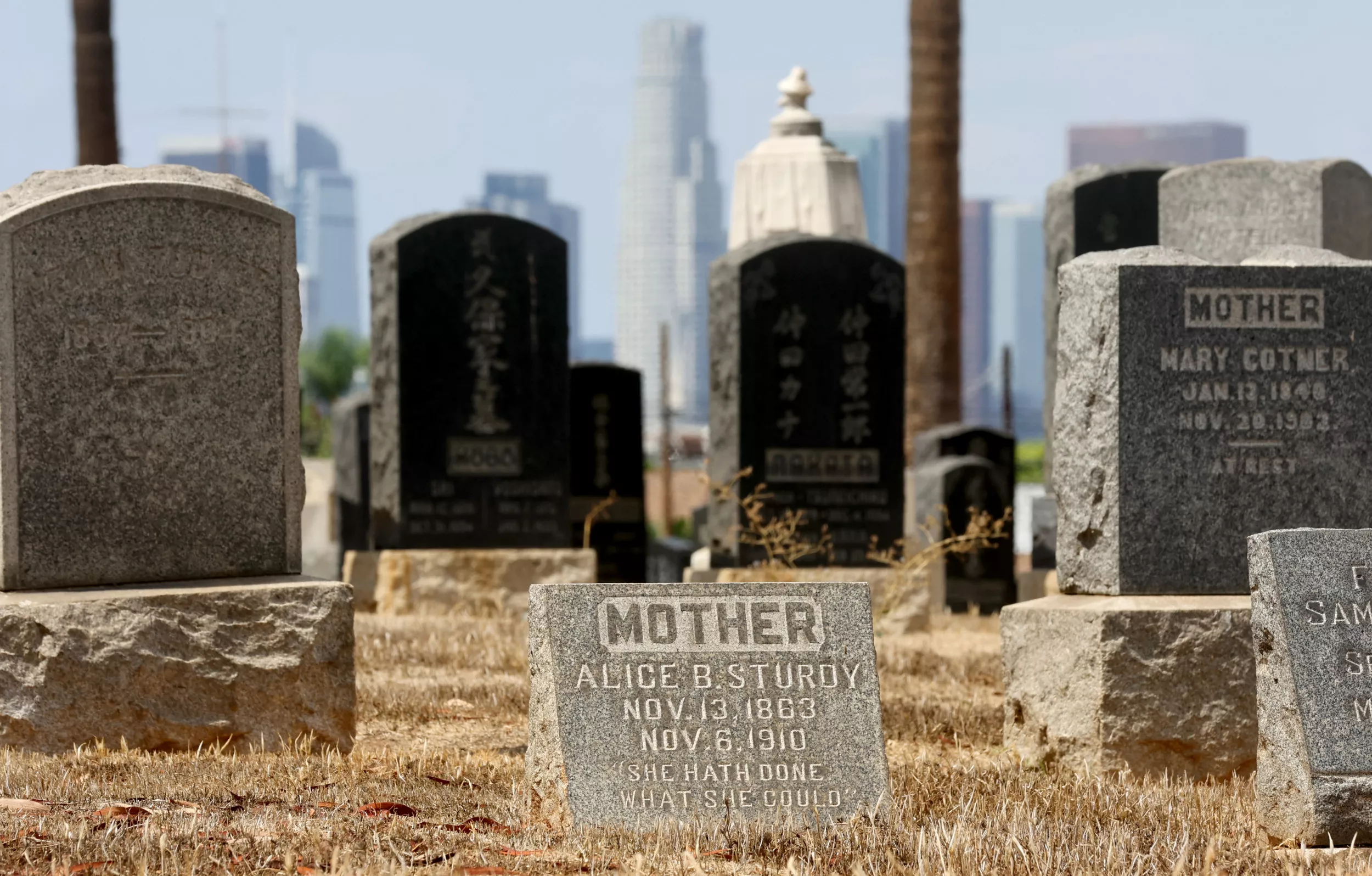 Man Caught Urinating, Defecating on Ex-Wife's Grave: 'Bad Breakup' - Vimarsana News