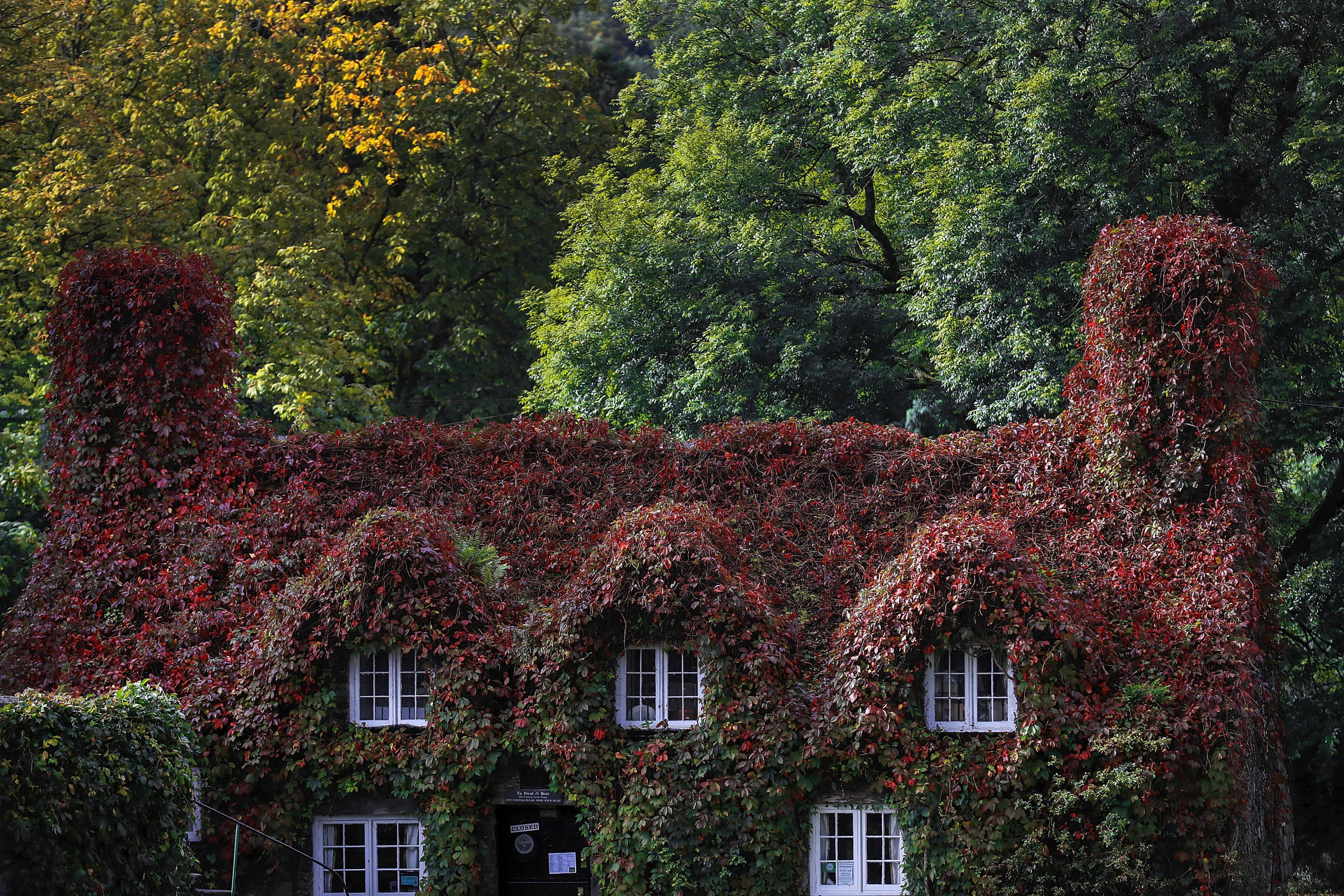 Couple Finds Natural Way To Warm Their Home Ahead of Winter Energy Bills