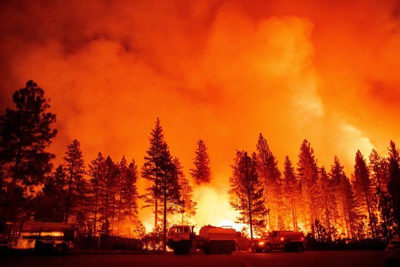 Mosquitio fire