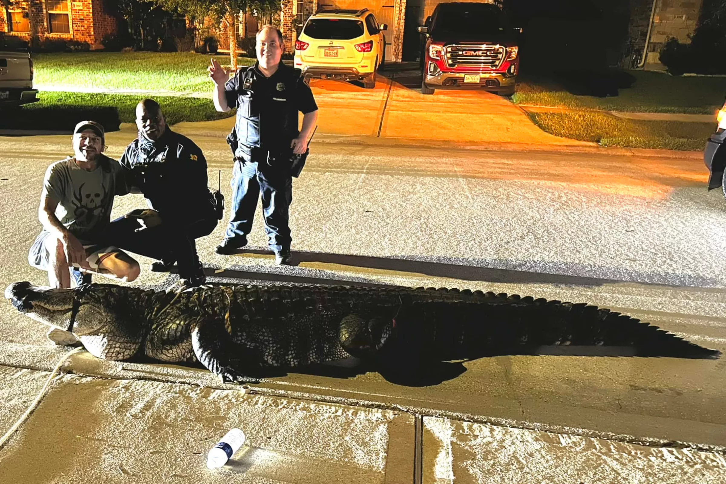 Massive 12-Foot Alligator Captured by Police Outside Texas Home - Vimarsana News
