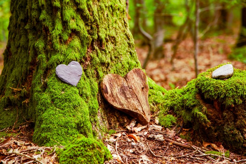 natural burial