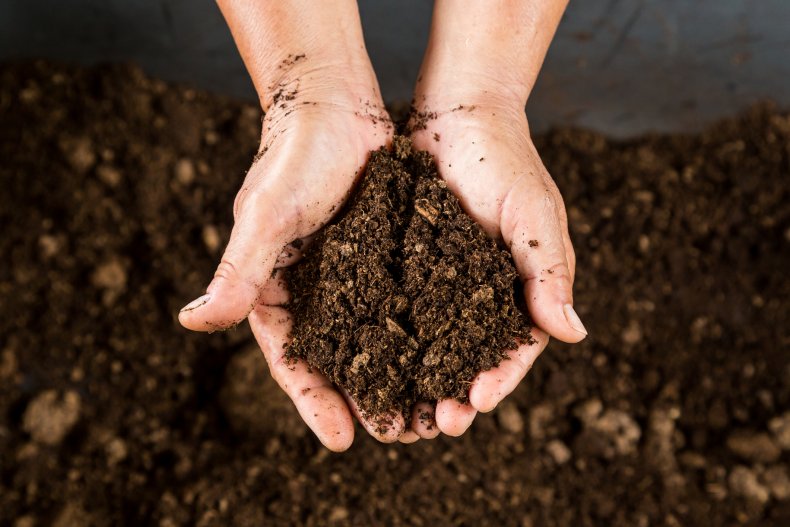 soil