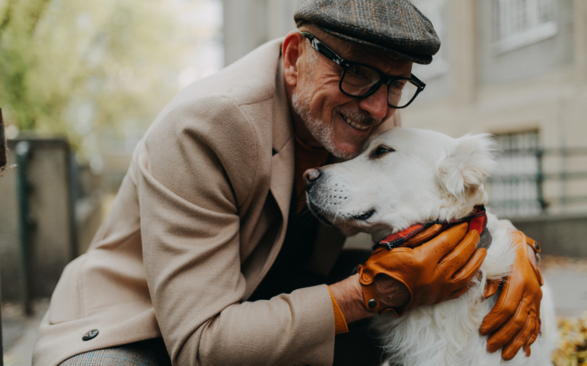 Senior Golden Retriever Greeting Old Neighbor Every Morning Melts