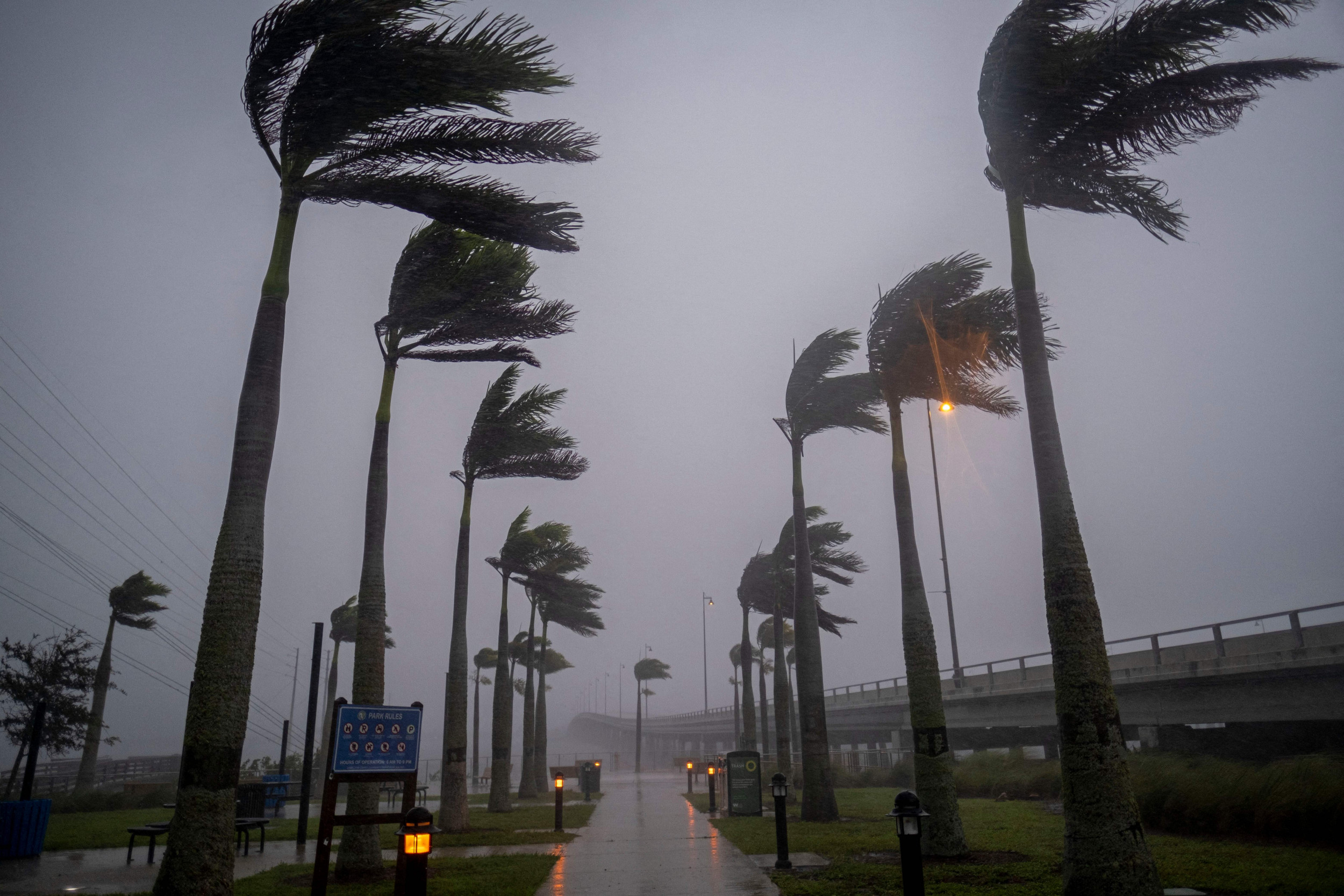 Family Evacuating Hurricane Ian With Chickens Forced To Sleep In Their 