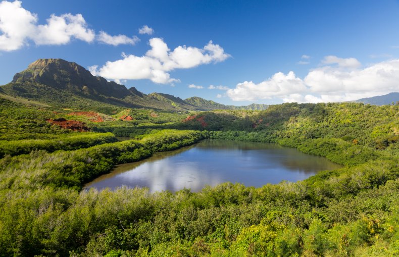 lago de peixes loko i'a em Kauai Havaí