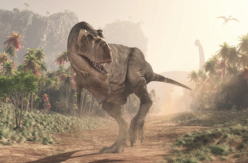 T-rex walking
