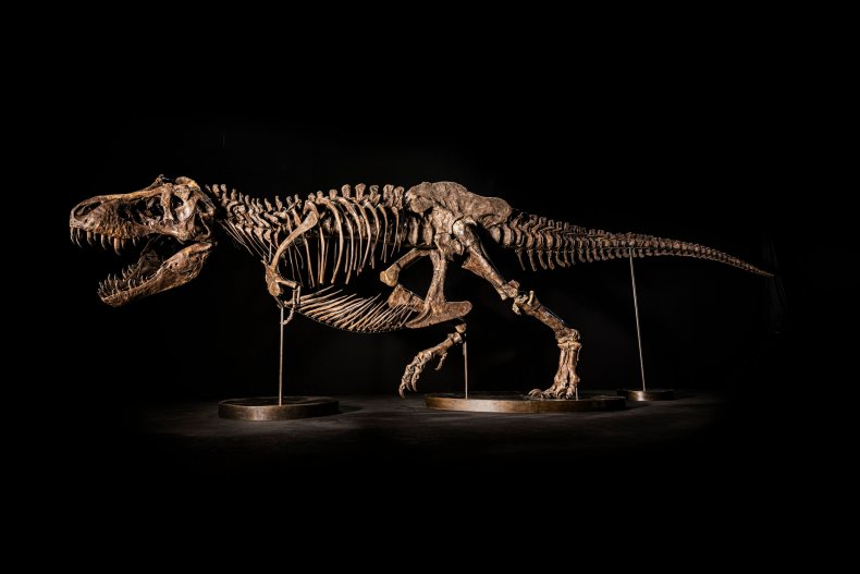 shen the t.rex full body