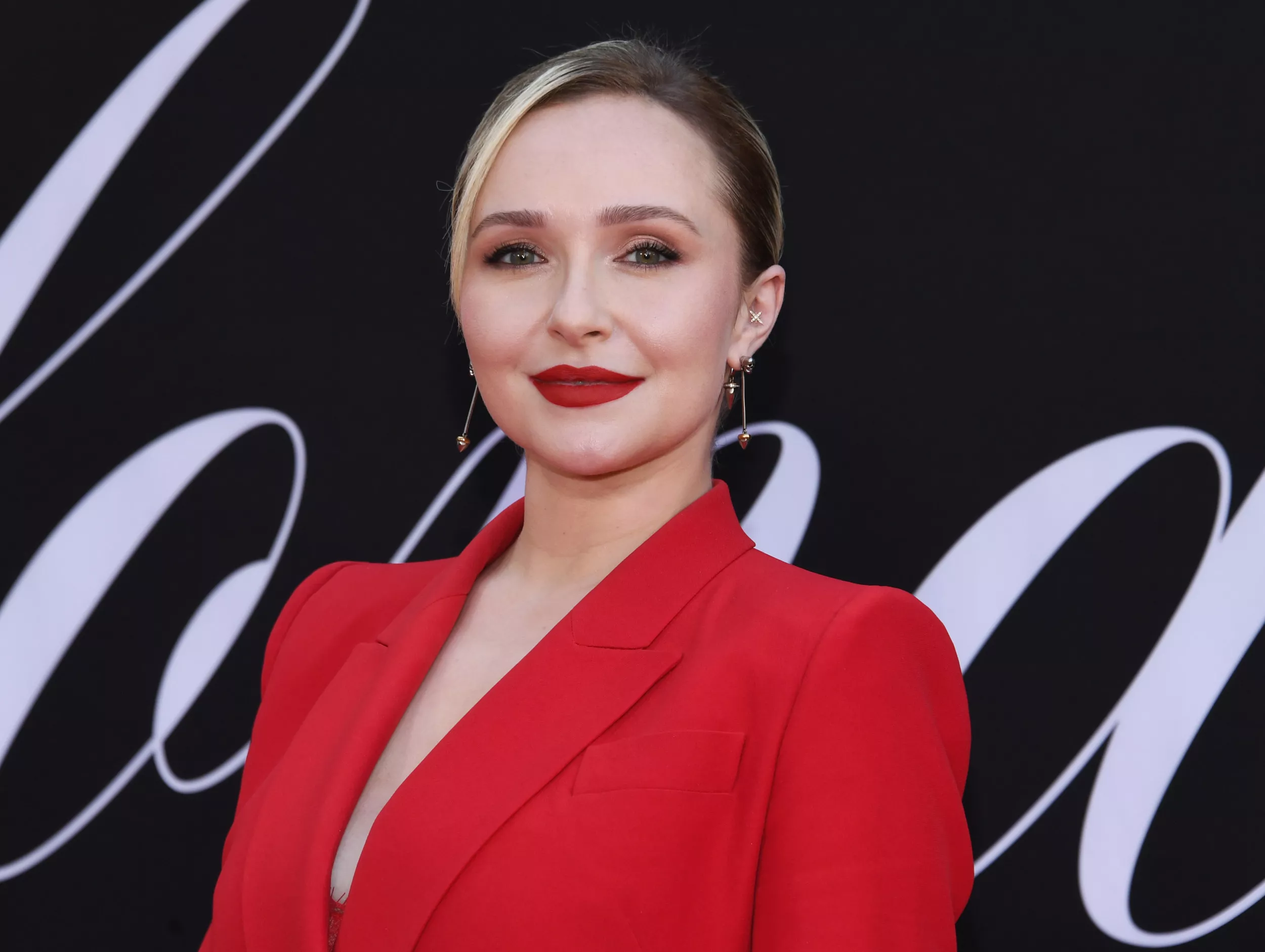Hayden Panettiere's Custody Situation Explained By Lawyers - Vimarsana News