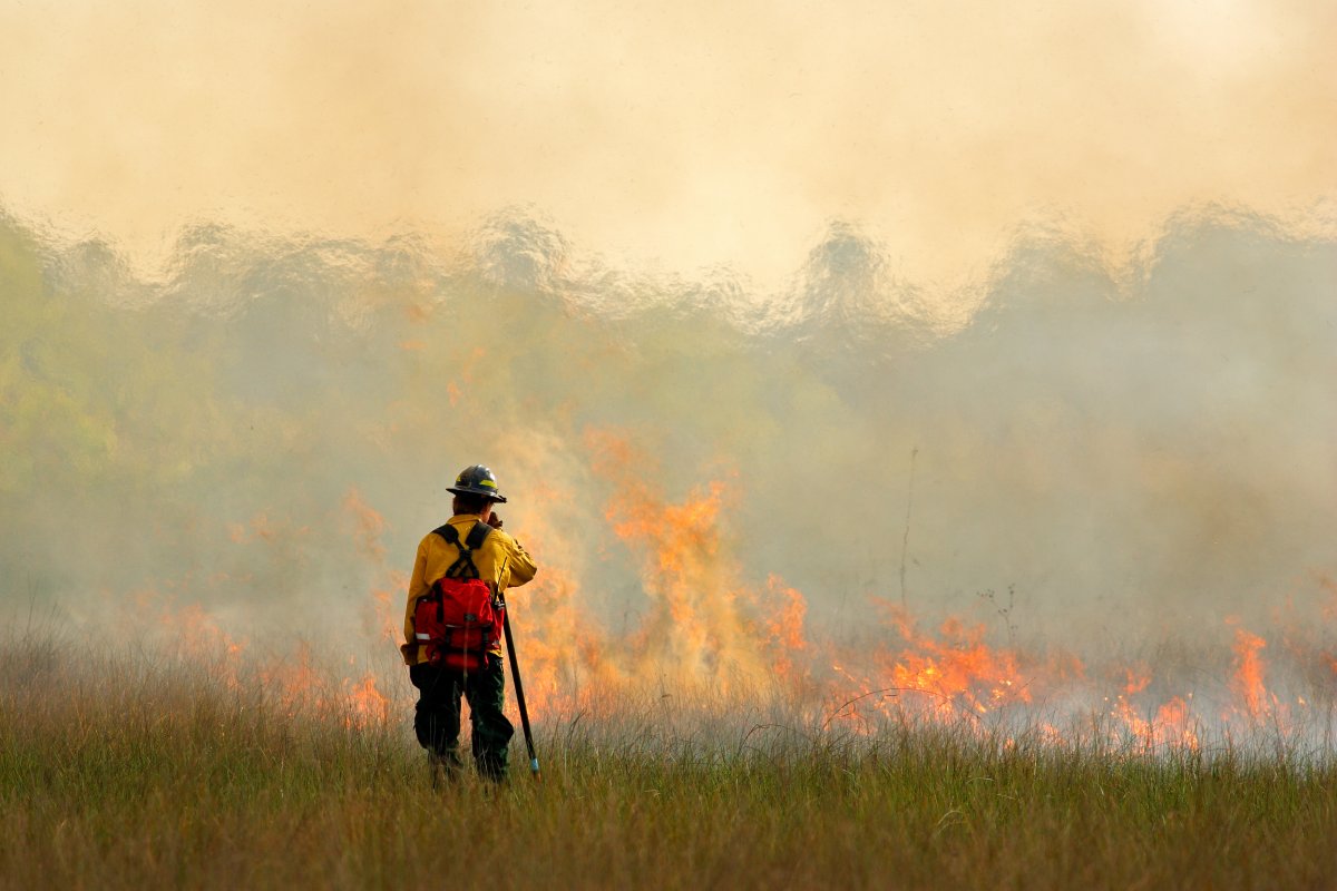 fireman faces wildfire in florida