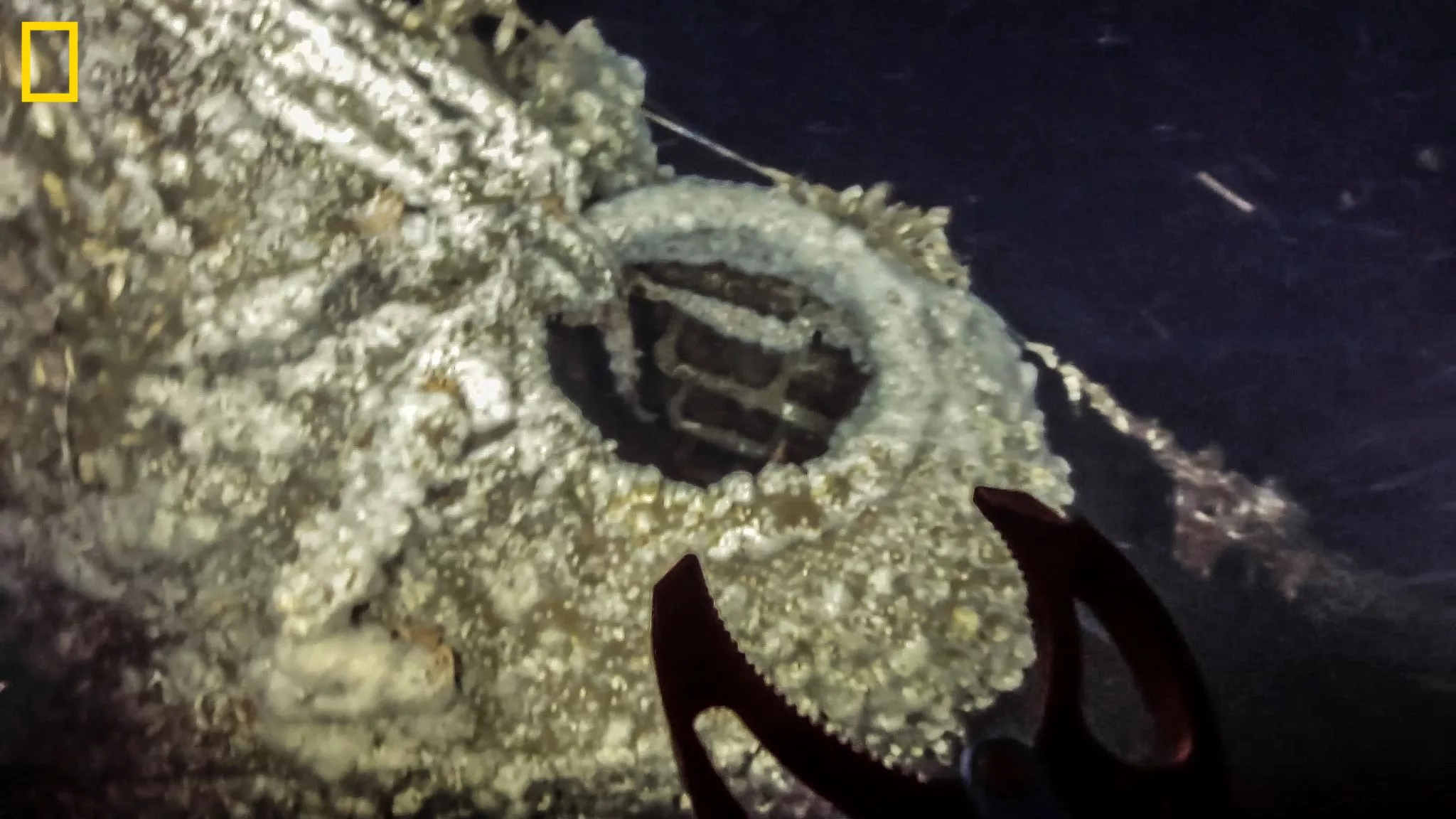 Shipwreck of WWI German U-boat Discovered off Virginia in 400ft of Water - Vimarsana News