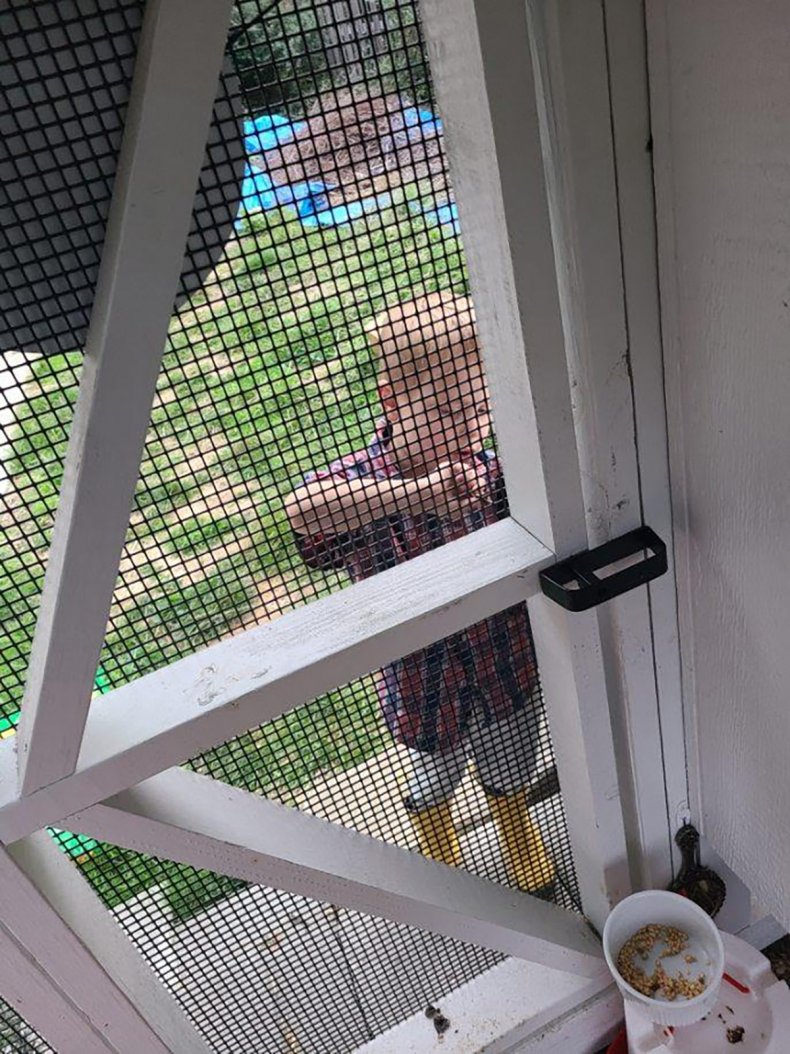 Toddler locks Dad in Chicken Coop
