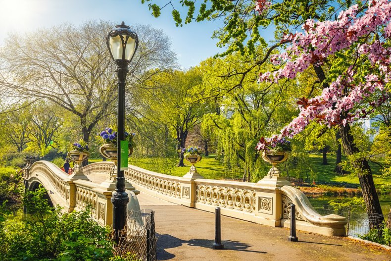 central park in spring