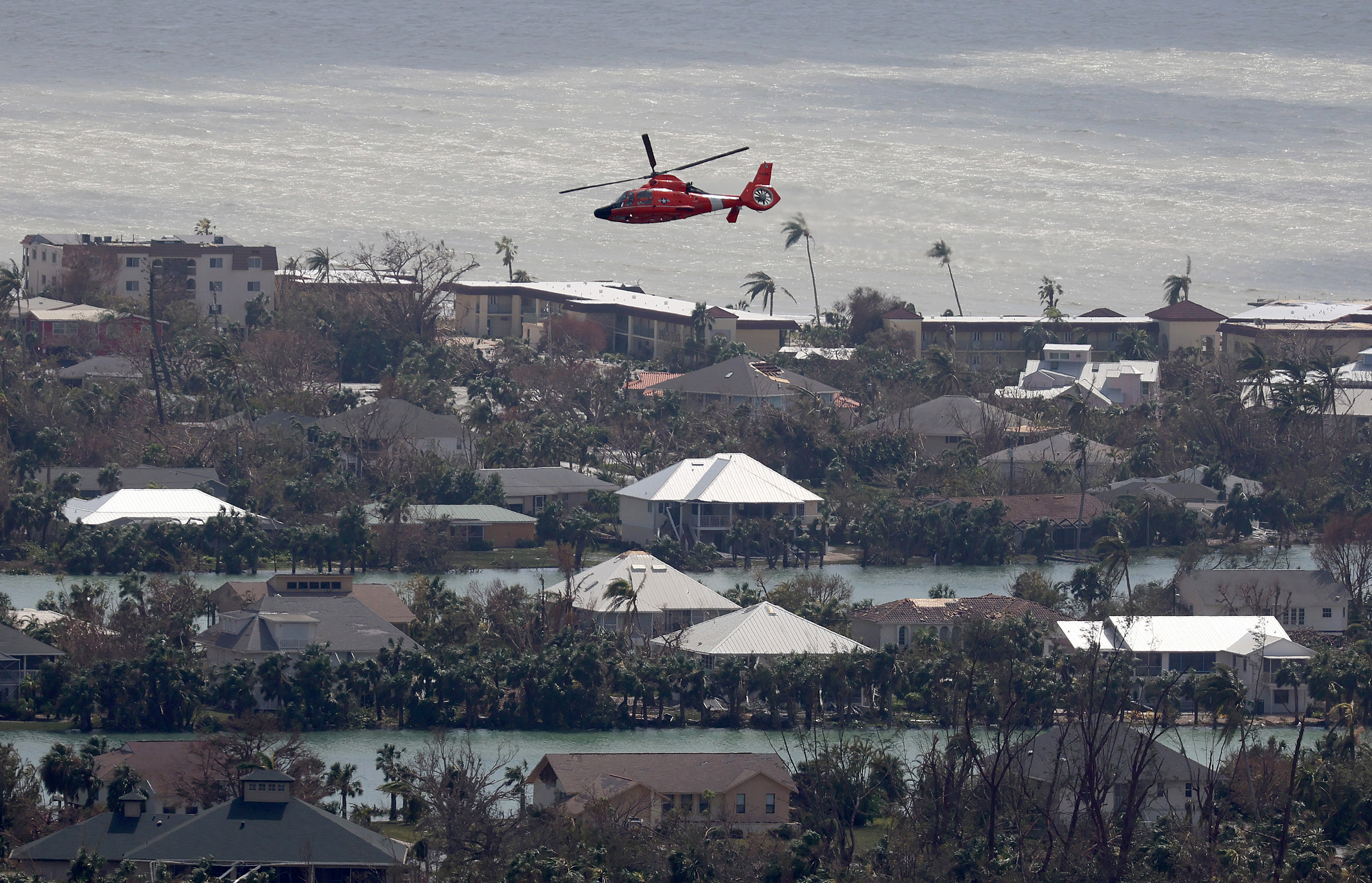 Coast Guard Airlifts Couple Cats Off Inaccessible Sanibel Island