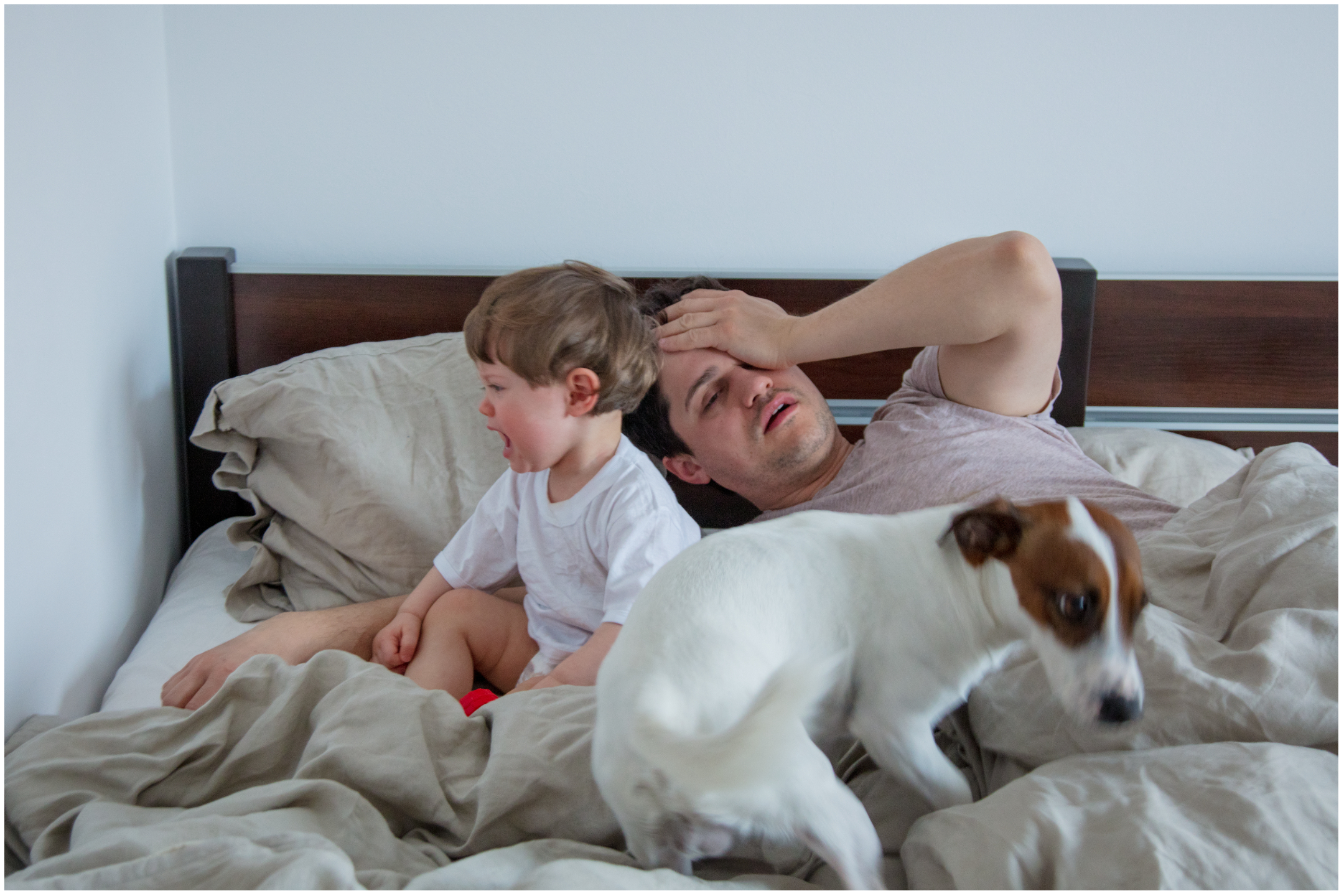 Dad More Worried About Pet Dog Than His Toddler Blasted: 'Didn't Compare