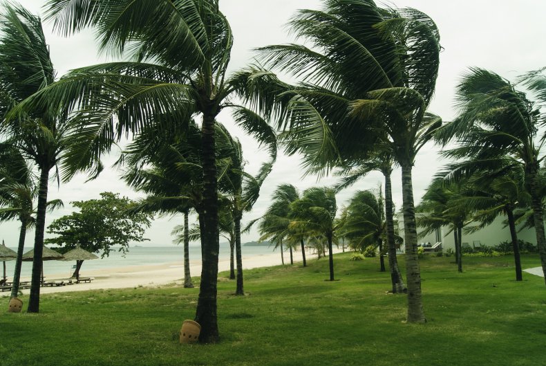 Hurricane