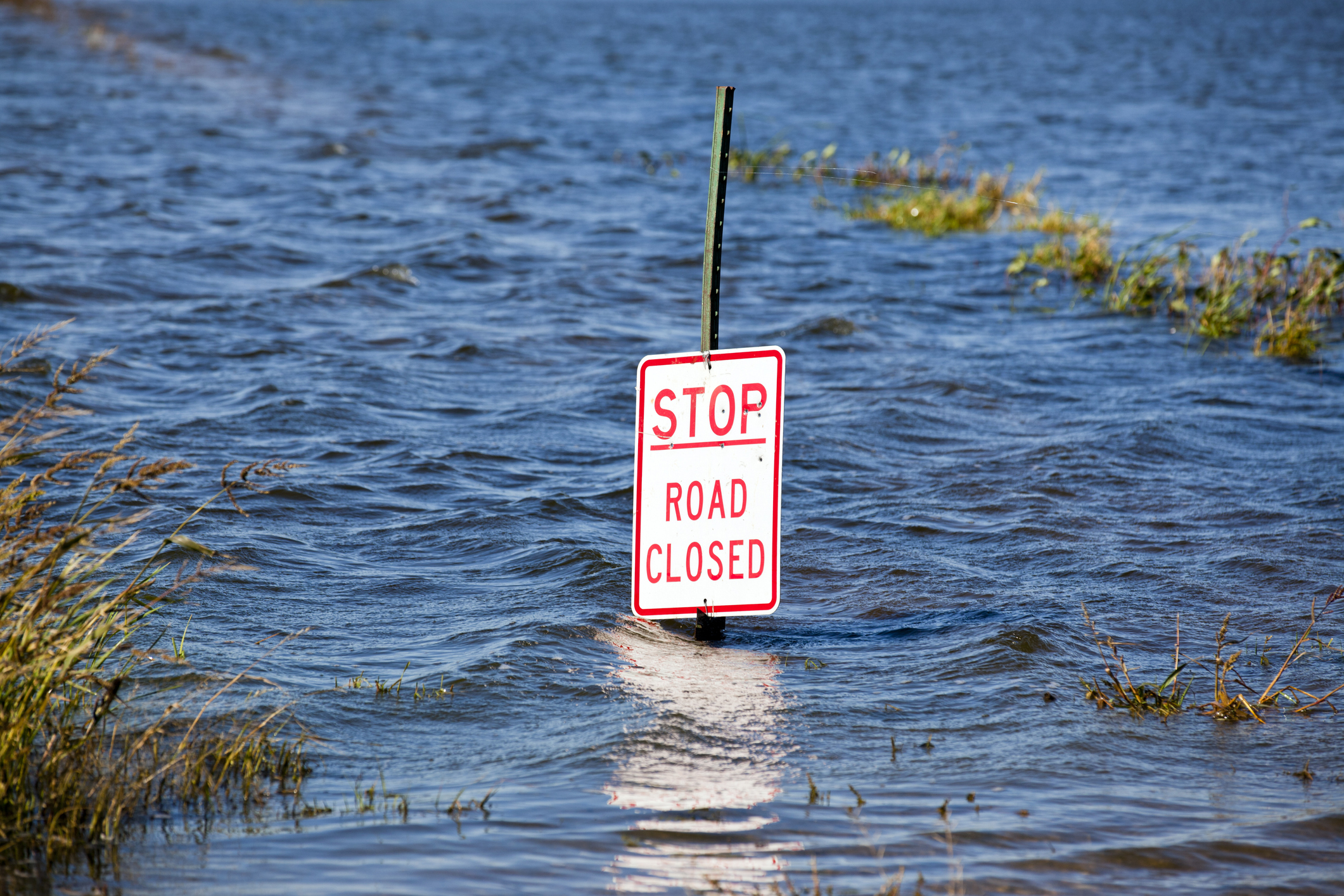 Over 1M Homes In Florida Areas Hit Hardest By Ian Have No Flood Insurance   Flooded Road Submerged Stop Sign 