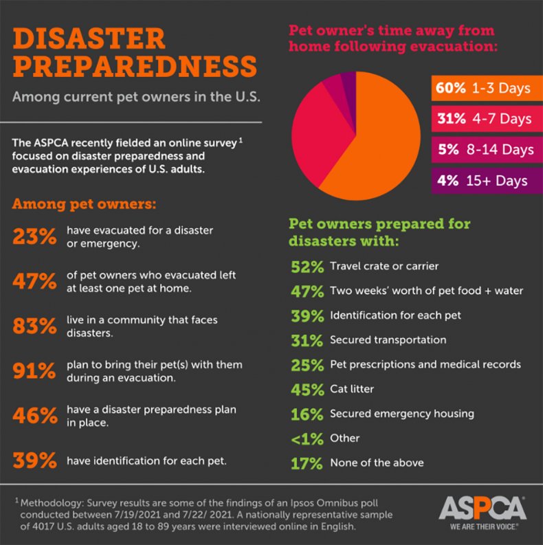Disaster Preparedness Infographic