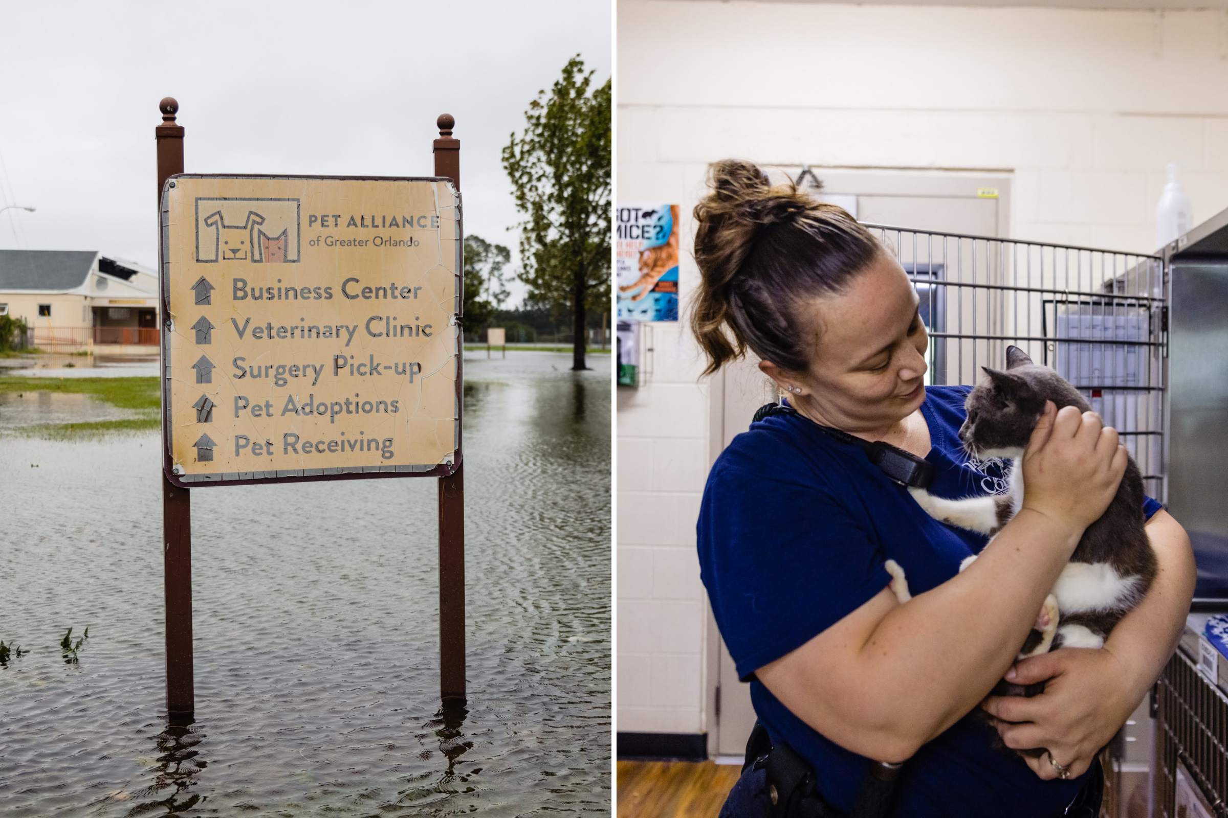 Florida Shelter Fears Rise in Abandoned Animals After Hurricane Ian