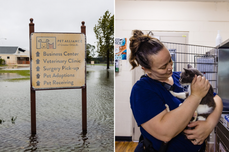 Water rises around Orlando Pet Alliance