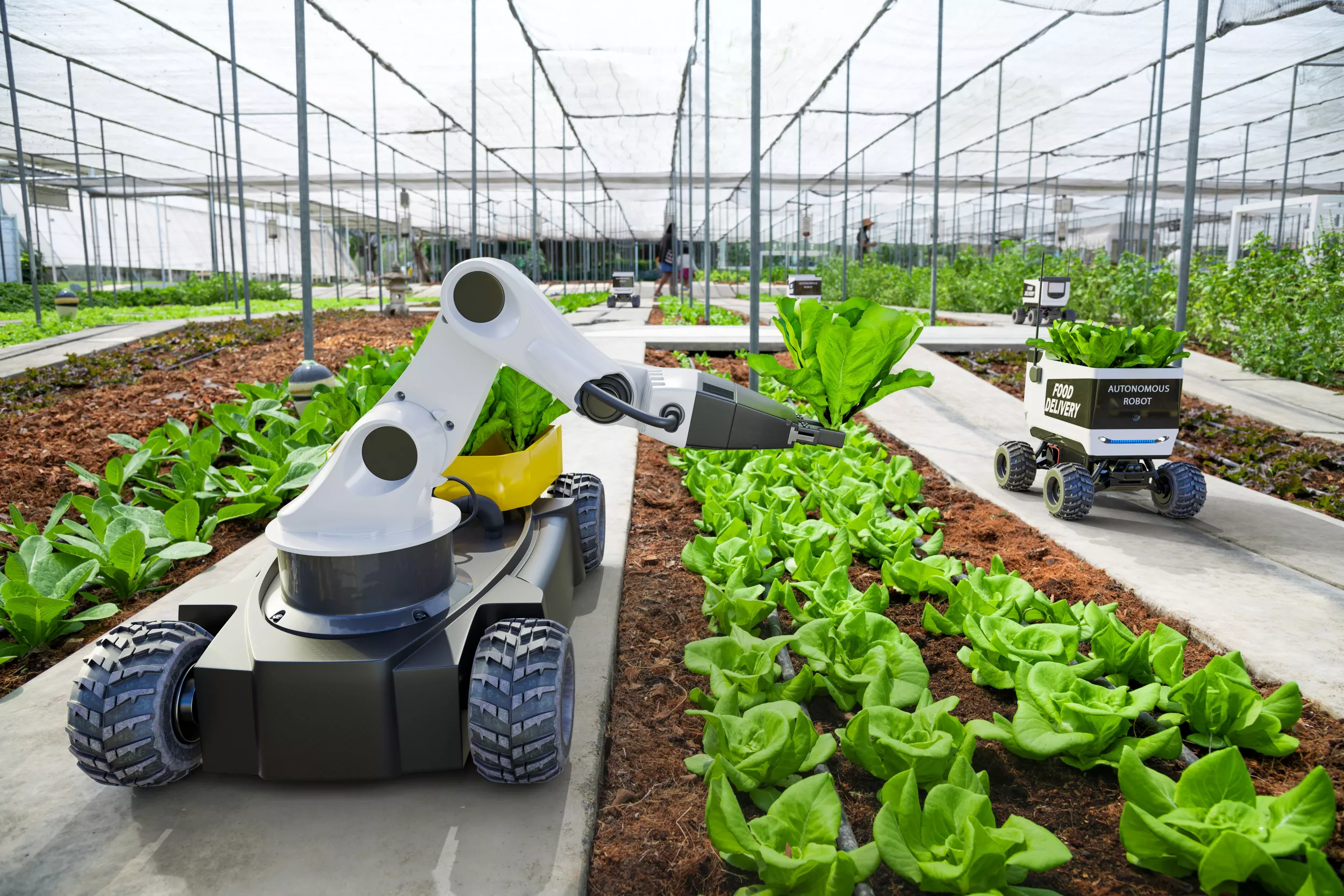 The Missing Ingredient in Agtech: Boots on the Ground - Vimarsana News