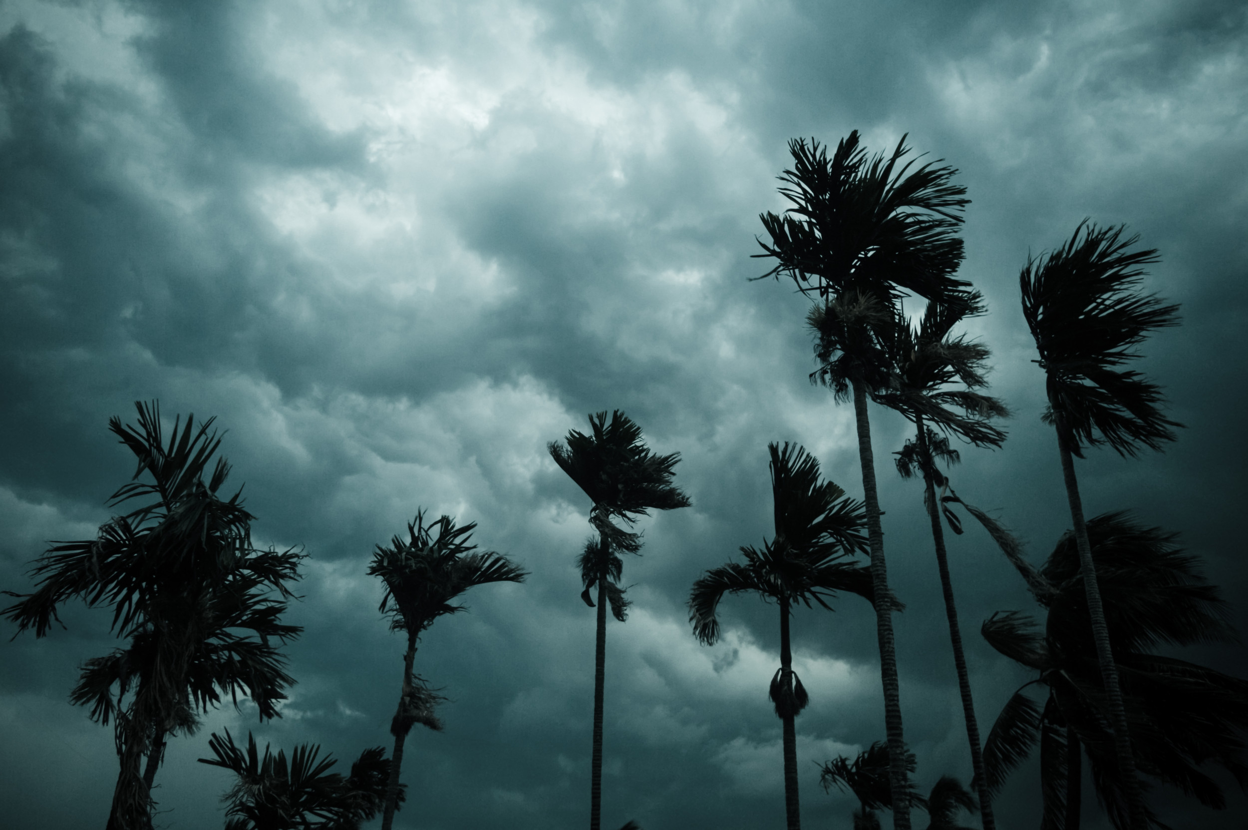 La dépression tropicale se forme dans la foulée de l’ouragan Ian écrasant la Floride