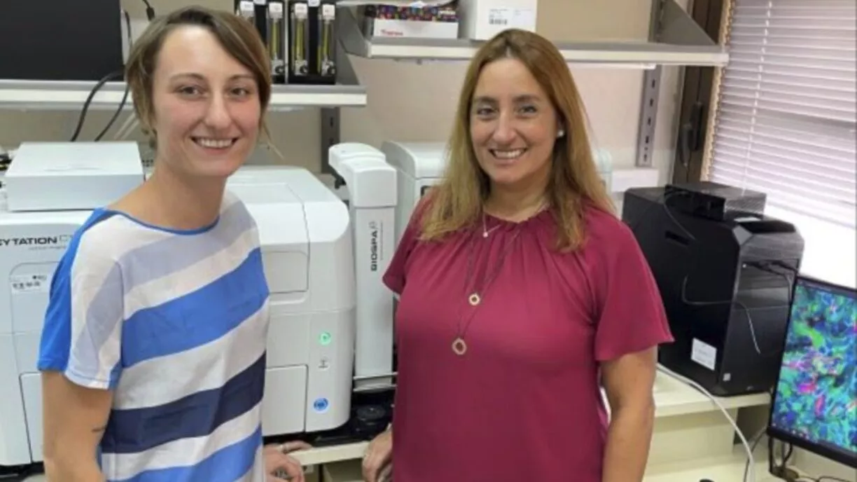 How Gene Editing Can Help Treat Skin Cancer - Vimarsana News