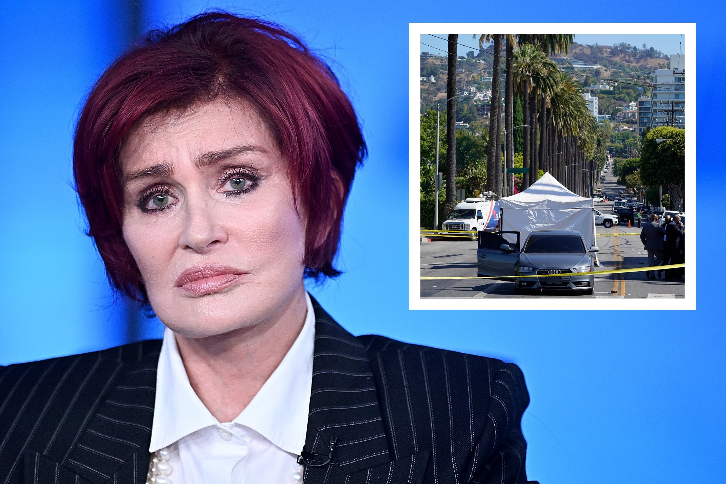 Sharon Osbourne Career: A Remarkable Evolution In Entertainment