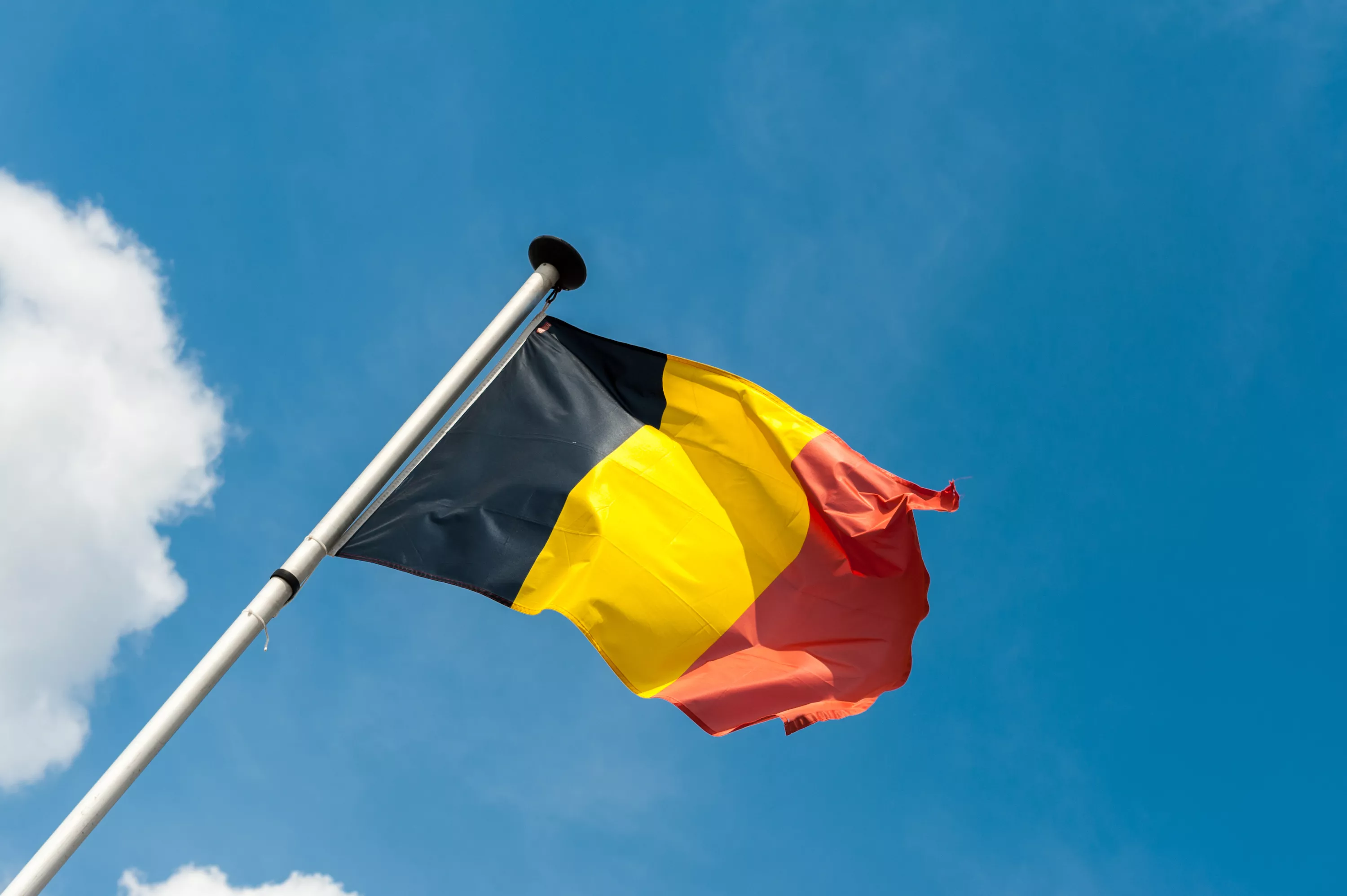 Europe's Top Human Rights Court Criticizes Belgium in Euthanasia Case - Vimarsana News
